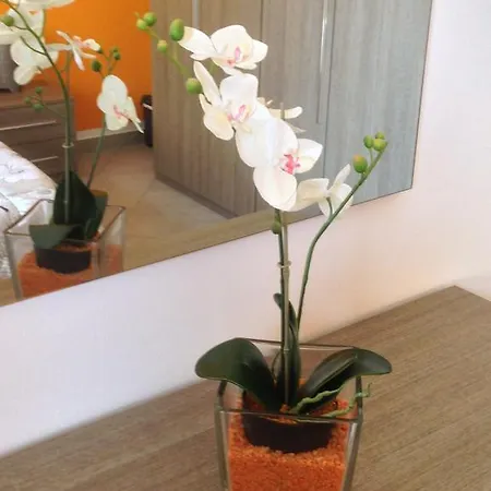 Perla Del Rent Apartment Sirmione